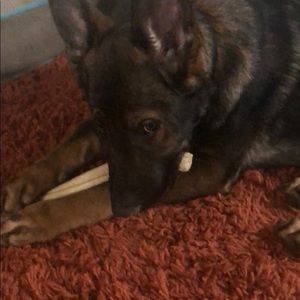 Meet your Posher, Matt